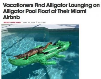 Crazy Florida