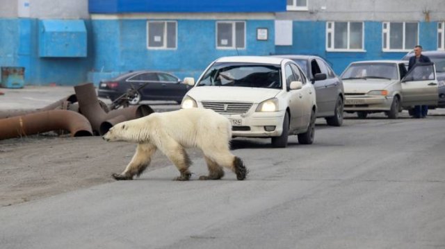 Welcome To Russia, part 16