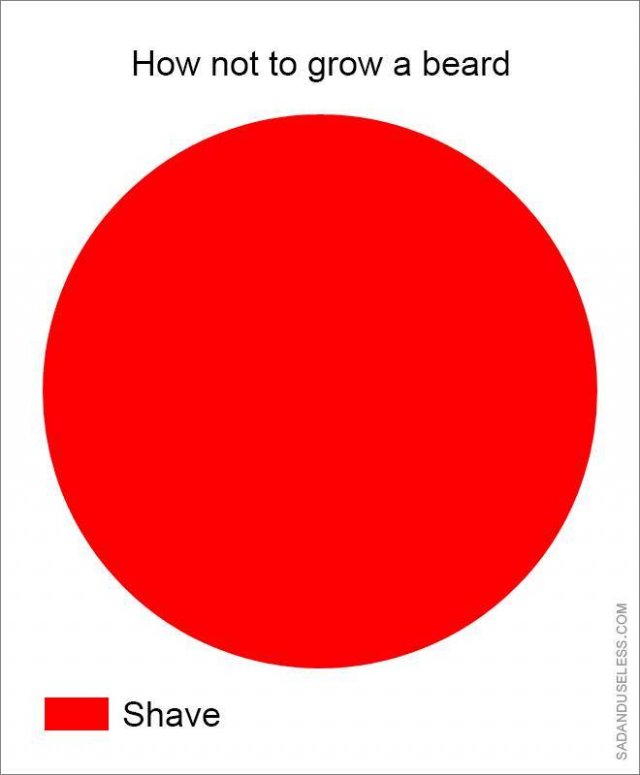Funny Pie Charts