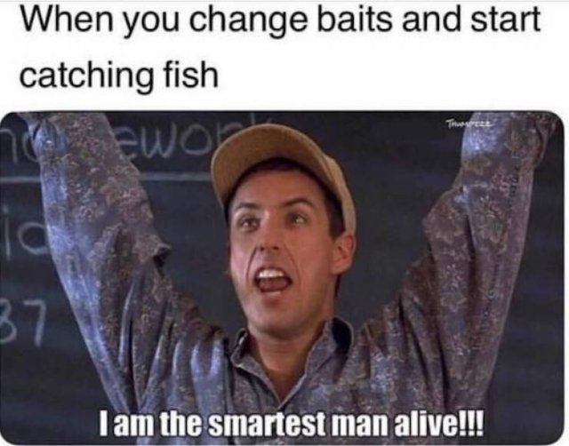 Hilarious Fishing Memes.
