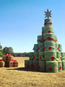 Creative Christmas Trees