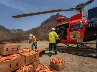 Internet Responds On Vegetable Campaign For Starving Australian Animals