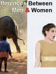 Differences Between Men And Women