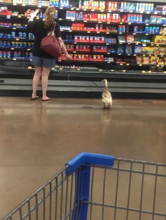 You're Doing It Wrong