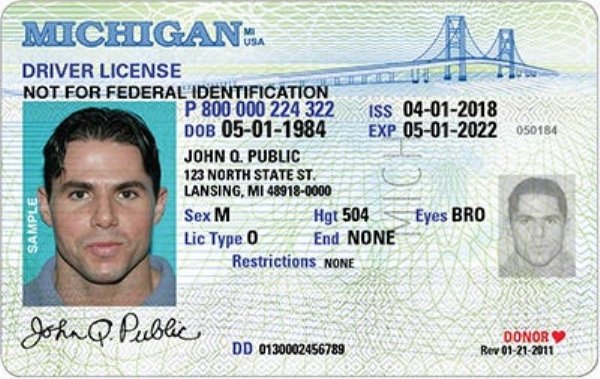 Driver’s Licenses In Every U.S. State | Others