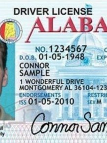Driver’s Licenses In Every U.S. State