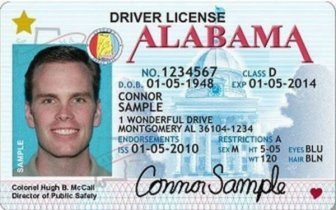 Driver’s Licenses In Every U.S. State