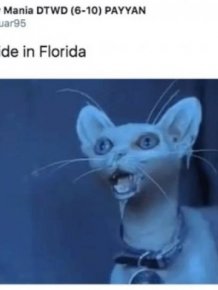 Memes About Sudden Winter In Florida