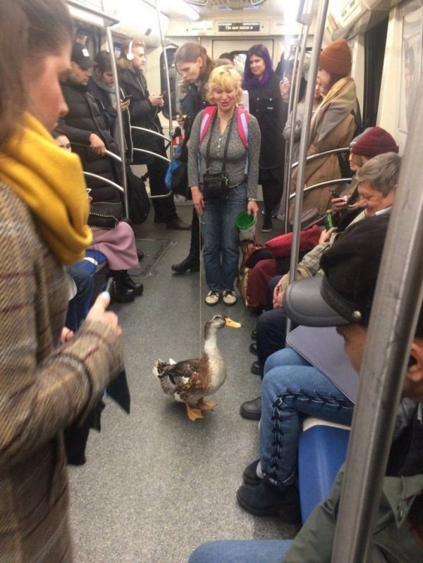 Strange Subway Passangers