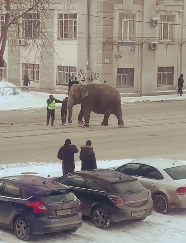 Only In Russia, part 48