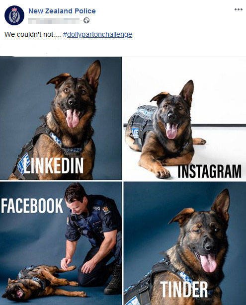 New Zealand Police Knows How To Facebook