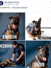 New Zealand Police Knows How To Facebook