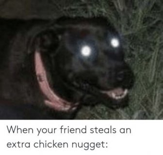 Chicken Nuggets Memes