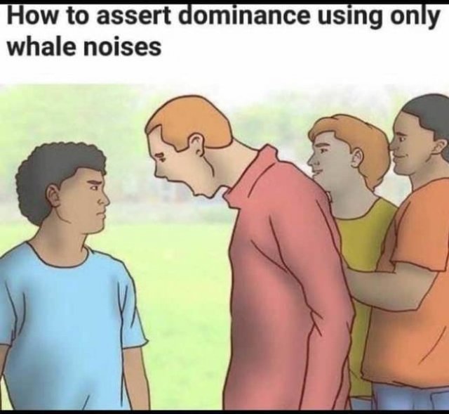 WikiHow Memes