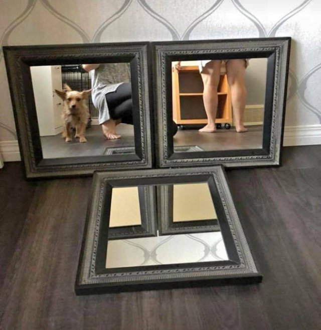 People Try To Sell Mirrors