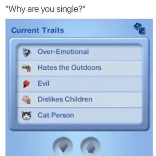Memes For Single People, part 2