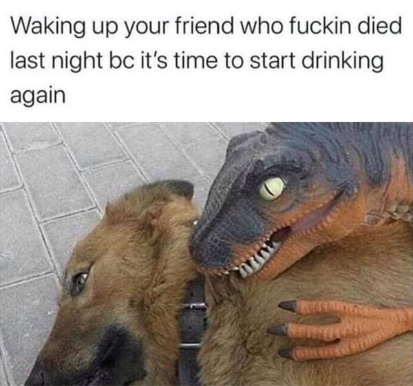 Day Drinking Memes