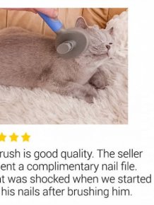 Great Product Reviews