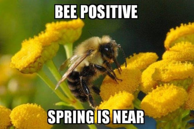 Spring Memes | Fun
