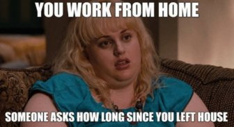 Work From Home Memes