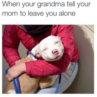 Grandma Memes