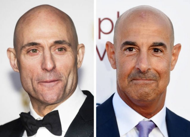 Celebrities Who Look Very Similar, part 2