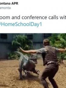 Homeschooling Memes