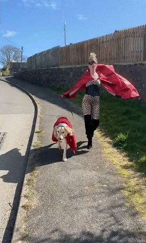 Hilarious Dog-Walking Costumes By Clare Meardon