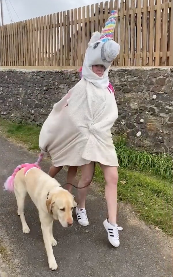 Hilarious Dog-Walking Costumes By Clare Meardon