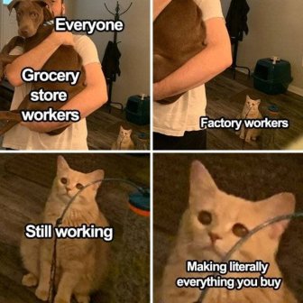 Essential Workers Memes
