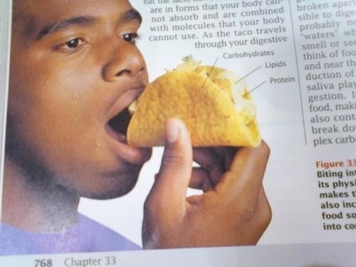 How People Eat