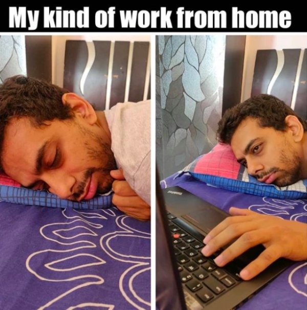 Working From Home Memes | Fun