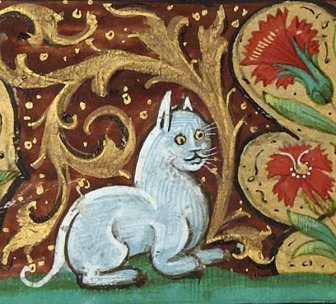 Medieval Cats