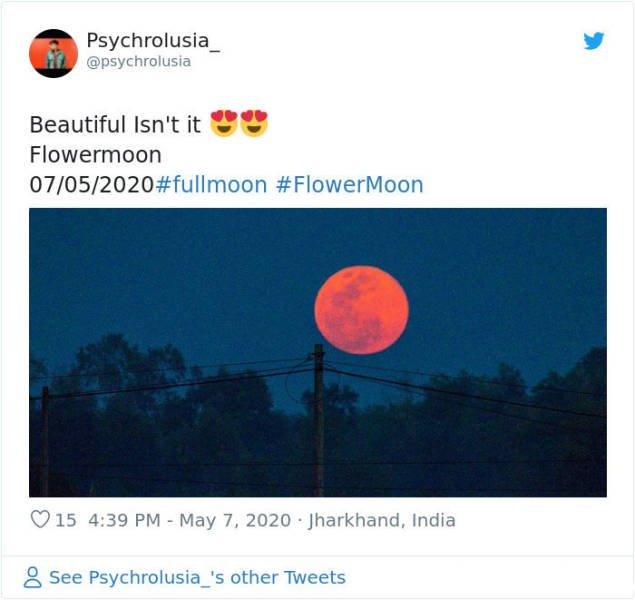 Beautiful May's Flower Moon