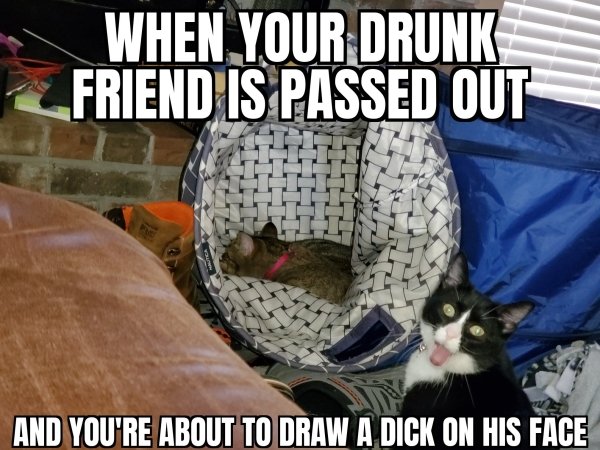 Alcohol Memes And Pictures, part 3