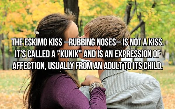 Kiss Art Facts