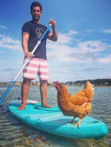 This Guy Travels Around World With His Pet Chicken