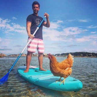 This Guy Travels Around World With His Pet Chicken