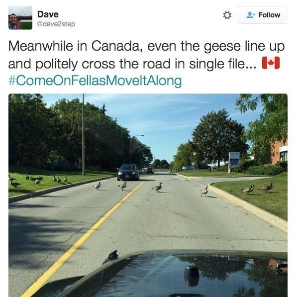 Only In Canada, part 19