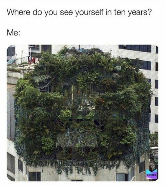 Plant Memes