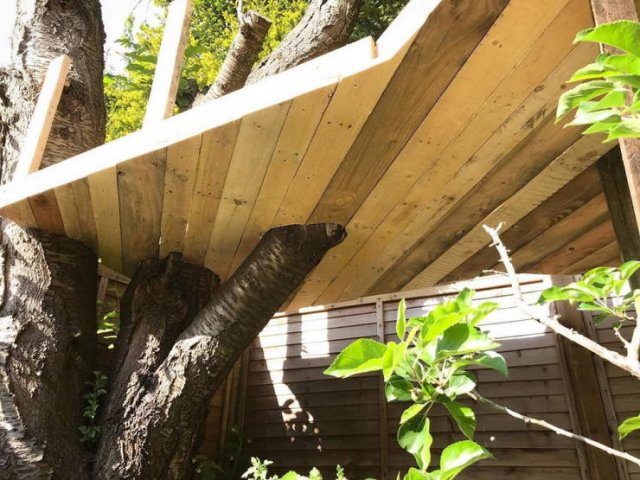 This Dad Built A Treehouse For His Daughters For Just $150, part 150