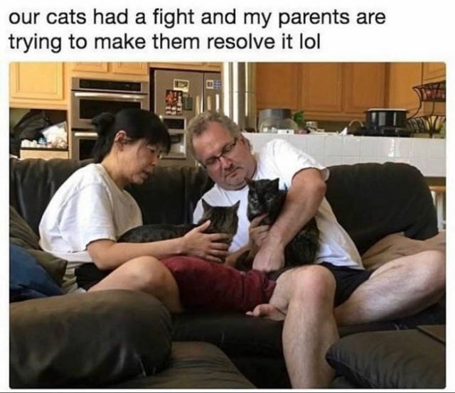 Wholesome Stories, part 11