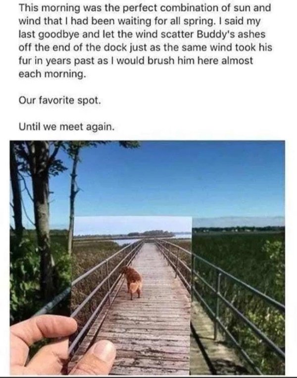 Wholesome Stories, part 12