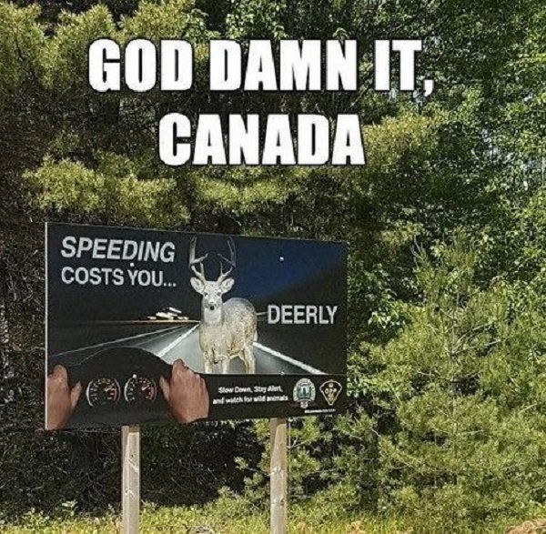 Only In Canada, part 21