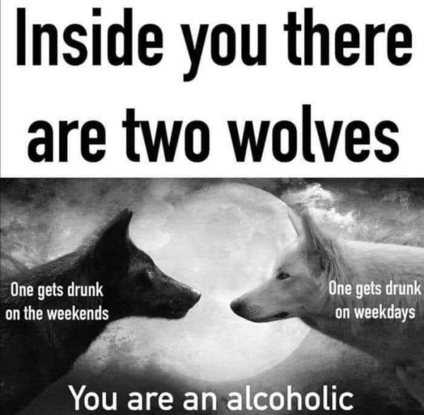 Alcohol Memes And Pictures, part 6