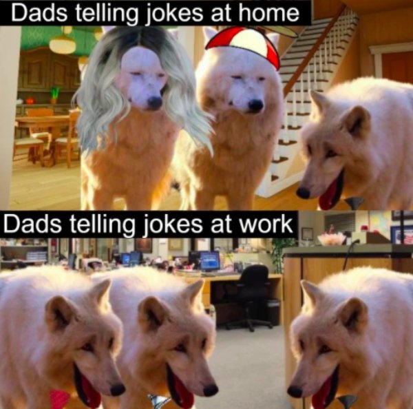 Dad Memes, part 2