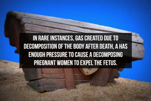 Interesting Facts, part 82