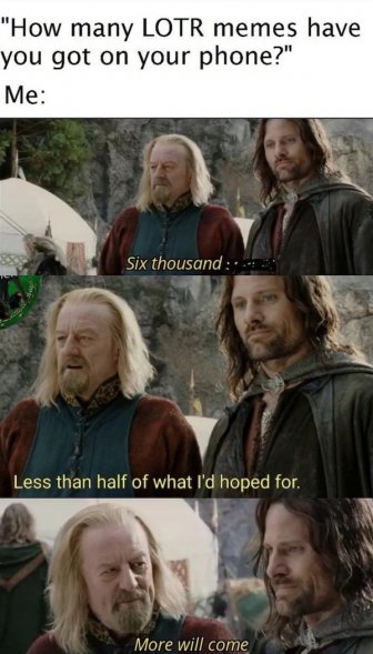 LOTR Memes