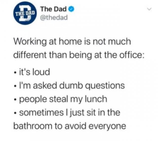 Work From Home Memes, part 2