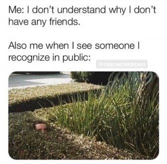 Introvert Memes